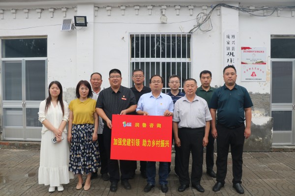 润鲁咨询党支部与巩庄村党支部共同开展“支